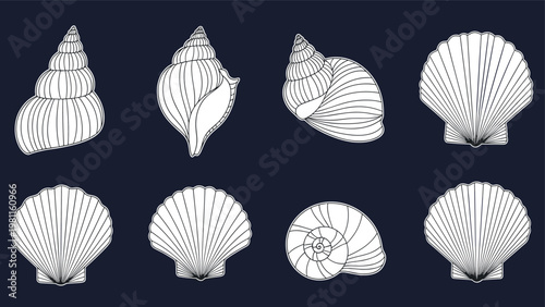 Collection of eight detailed line art drawings of various seashells and snail shells displayed on a dark blue background for sea themes.