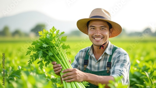 Thai Farmer Smiling While Harvesting Fresh Celery in Countryside