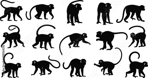 Silhouetted monkeys in diverse poses, showcasing animal movement, wildlife behavior, tail variations, and expressive primate postures on white background
