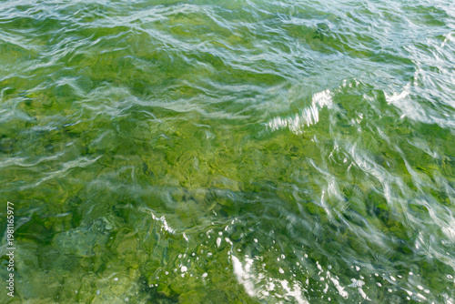 Green water and waves close up of lake in Annecy, France