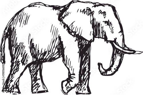 Illustrated elephant walking with detailed sketch lines and hand drawn shading