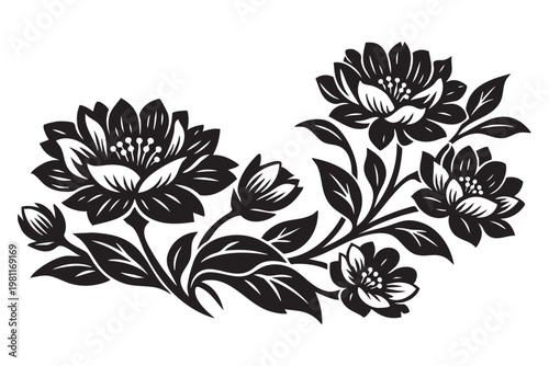 Vintage floral illustration black and white clover blooms and leaves