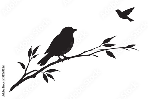 Silhouetted birds on a branch a moment of natural stillness