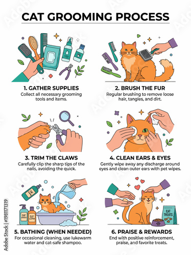Cat Grooming Process Infographic - Step-by-Step Guide