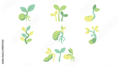 Sprouts with green leaves growing.