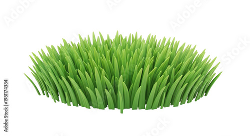 Fresh Green Grass Isolated on White.