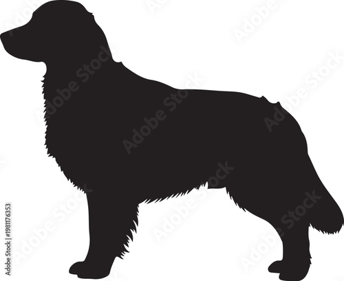 Black dog silhouette, standing dog icon, canine vector, pet illustration