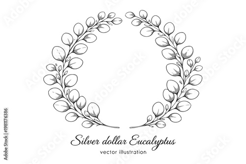 Elegant silver dollar eucalyptus leaves in a graceful wreath design Vector