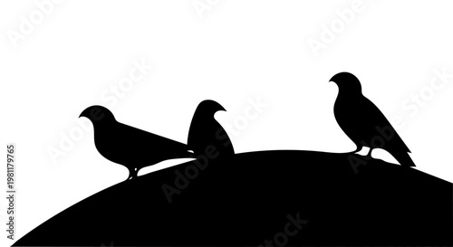 Three black birds perched on a hill