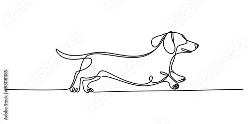A minimalist single line drawing of a dachshund dog walking across a clean white background area Vector, illustration
