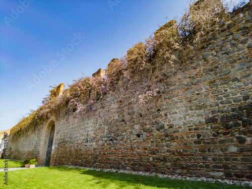 Explore Este Castle in Padua, Italy with its historic walls and lush greenery during a bright sunny day