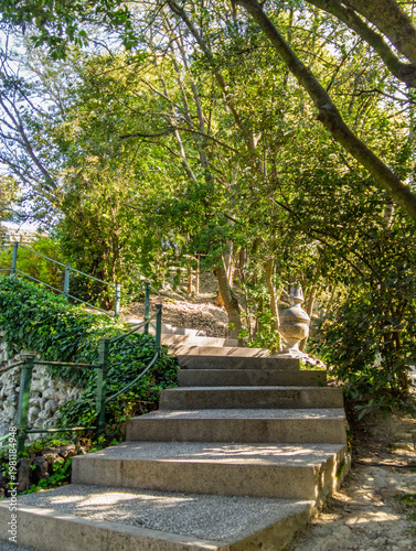 Steps leading up through trees at Este Castle in Padua, Italy during a sunny day in early spring