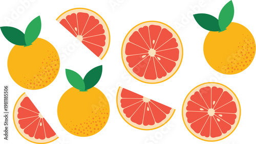 Fresh grapefruit fruit collection with whole fruits and sliced segments isolated on white background for healthy food and juice design