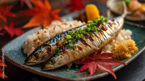 Grilled Mackerel Saba Sushi Rice Japanese Autumn Leaves