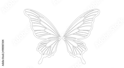 Delicate Butterfly Wings Outline - Vector Graphic Art
