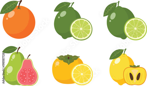 Fresh tropical fruits collection with orange, lime, lemon, guava and persimmon vector illustration for healthy food and organic design