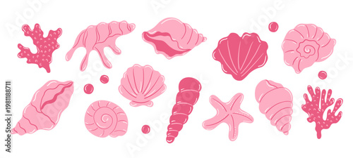 Sea shell Ocean exotic underwater seashell vector