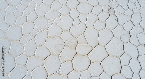 Natural salt flats display a repeating geometric pattern of dry cracked earth across the landscape.