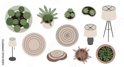 Overhead vector illustration of diverse potted plants, lamps, and round rugs, perfect for interior design.