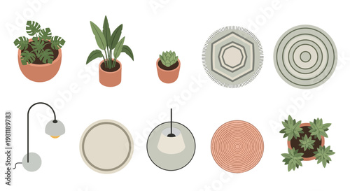 A stylish vector illustration featuring a curated collection of minimalist indoor plants, modern rugs, and elegant lamps.