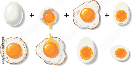 Egg cooking stages vector set with boiled fried sunny side yolk variations and breakfast food illustration collection