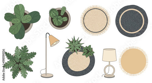 Stylish overhead vector illustration of various household plants, lamps, and textured round rugs.
