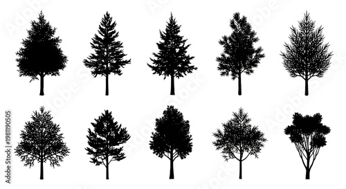 Collection of diverse pine and fir tree silhouettes isolated on white background representing nature forests and seasonal decor elements