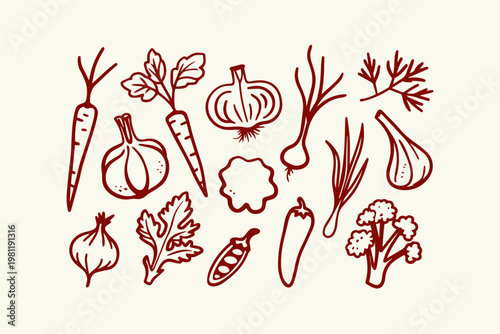 Collection of hand-drawn vegetables and herbs illustration with vegetable broccoli illustration background isolated agriculture nutrition ingredient vitamins seasoning botanical