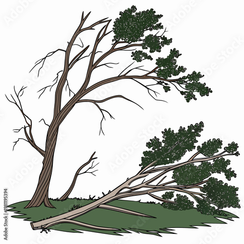 A detailed illustration depicts a windswept tree with vibrant green foliage and bare branches leaning dramatically over grassy terrain high quality professional