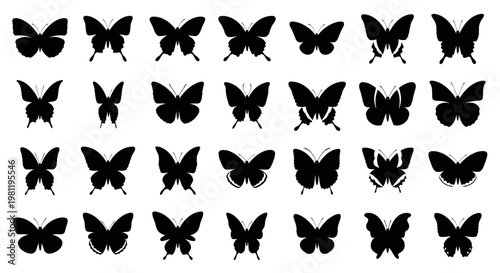 Collection of various butterfly silhouettes.
