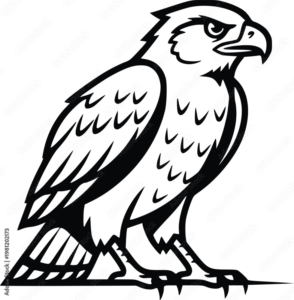 Fototapeta premium Hand Drawn Eagle Line Art Vector Illustration Vintage Black and White