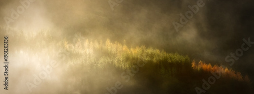 Wallpaper Mural Golden light illuminates a misty forest. Trees with autumn colors glow in the atmospheric haze, offering a tranquil and blurred natural vista. Torontodigital.ca