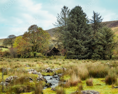 Wallpaper Mural Creek flows past a derelict stone building in a wild moorland landscape with trees and distant hills. Torontodigital.ca