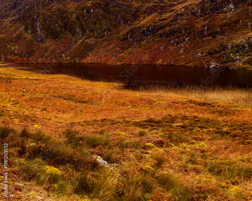 Wallpaper Mural Expansive autumn moorland with vibrant orange and green hues meets a serene dark loch. The loch perfectly mirrors a rugged, steep mountain under soft daylight, highlighting natural wilderness. Torontodigital.ca