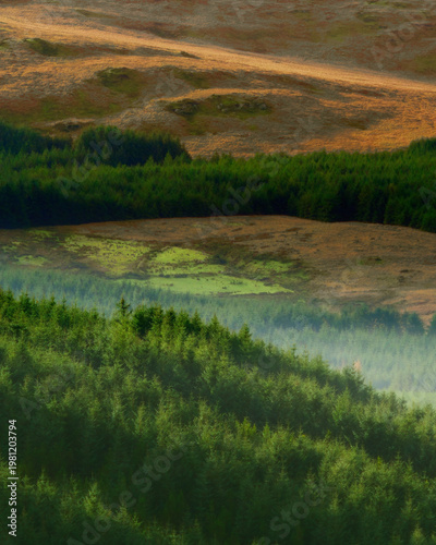 Wallpaper Mural Layers of evergreen forest and rolling hills with morning mist and soft light hitting the terrain. Torontodigital.ca