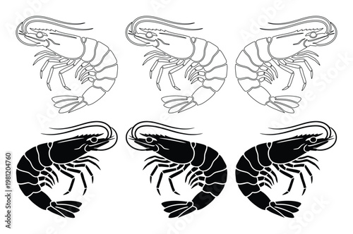 新鮮なエビのベクターイラストセット、白黒の線画とシルエットで表現された海老のコレクション、シーフードレストランや水産加工業向けのグラフィック素材