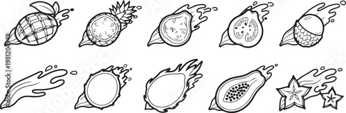 Illustrations of various fruits and nuts with cross-sectional views Vector