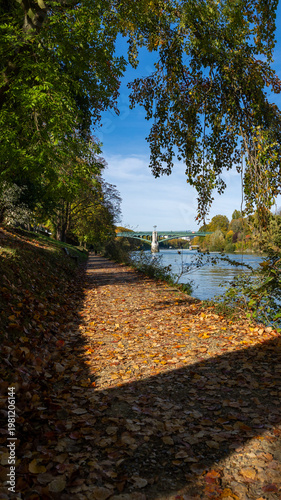 La marne en automne