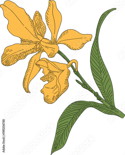 Vibrant yellow autumn leaves on green stems isolated on white background yellow leaves autumn foliage