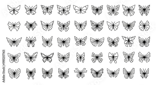 Collection of various butterfly illustrations.