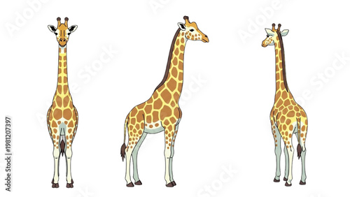 Giraffe Character Vector Set in Multiple Angles Flat Pastel Illustration Isolated on White