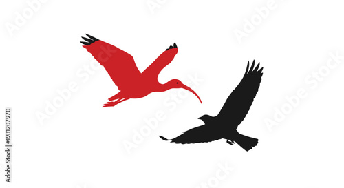 Minimalist silhouettes of a red scarlet ibis and a black bird flying against a white background
