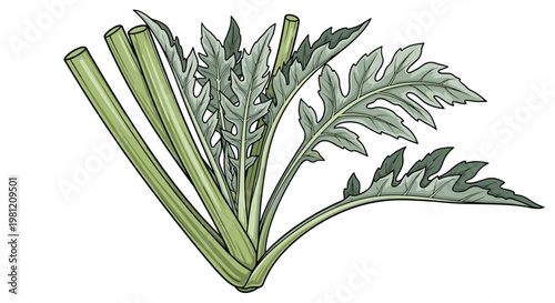 Fresh artichoke heart with tender green leaves and sturdy stems, representing a healthy and nutritious vegetable ready for culinary preparation.