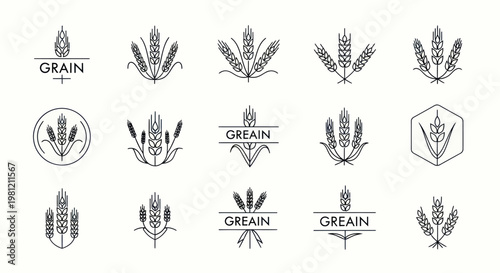 Collection of minimalist wheat and grain line art logo icons.