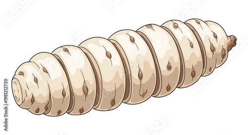 Detailed illustration of a large, pale termite queen, characterized by its elongated, segmented body, central to a colony's reproduction.