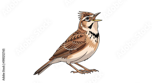 Lively horned lark bird, singing with its beak open, showcasing its intricate brown plumage, distinctive head markings, and small horn-like feathers.
