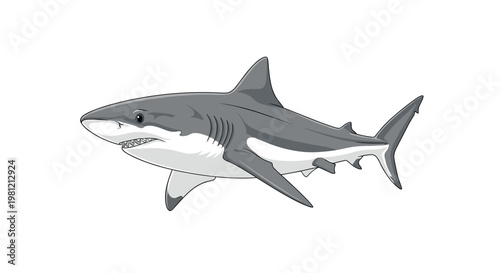 Ferocious great white shark, swimming powerfully in profile, showcasing its robust gray and white body and rows of sharp teeth.