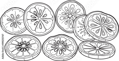 Intricate floral patterns in a circular arrangement design Vector