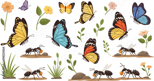 Flat vector set of butterflies ants and garden insects with flowers plants nature elements isolated on white background