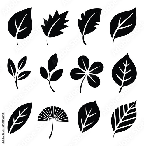 Collection of Black Leaf Silhouettes on White Background